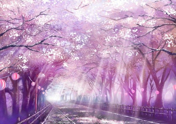 Phong cảnh hoa anh đào đẹp trong anime